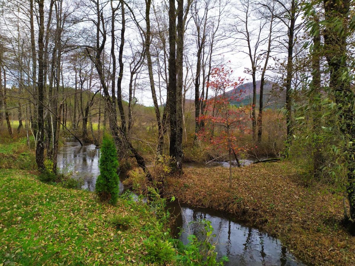 Vodenica Vrelo Chalets Vrelo Koreničko 外观 照片