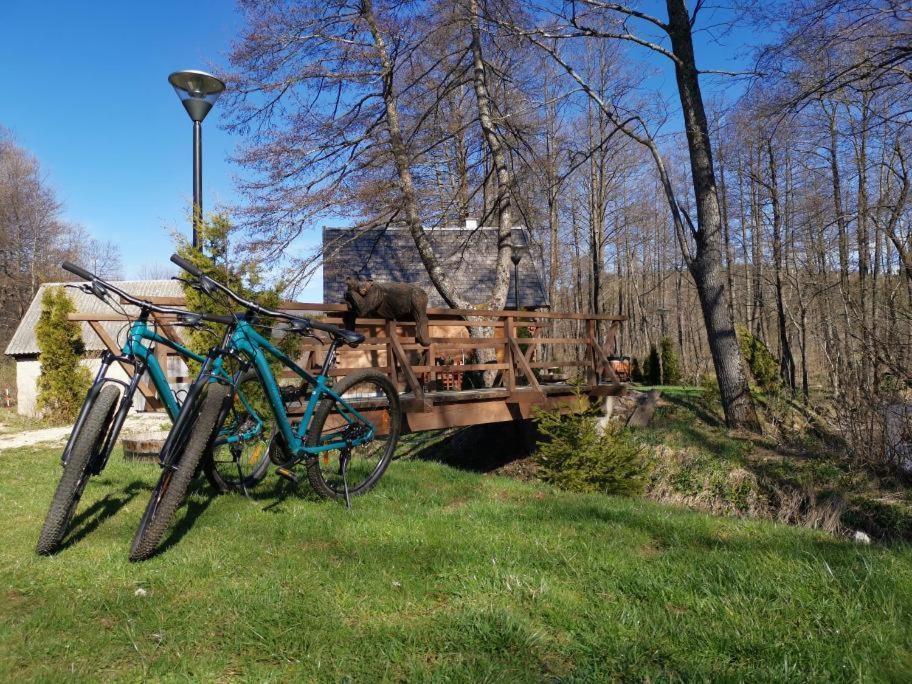 Vodenica Vrelo Chalets Vrelo Koreničko 外观 照片