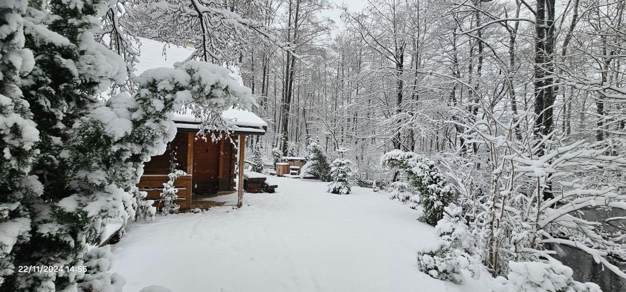 Vodenica Vrelo Chalets Vrelo Koreničko 外观 照片