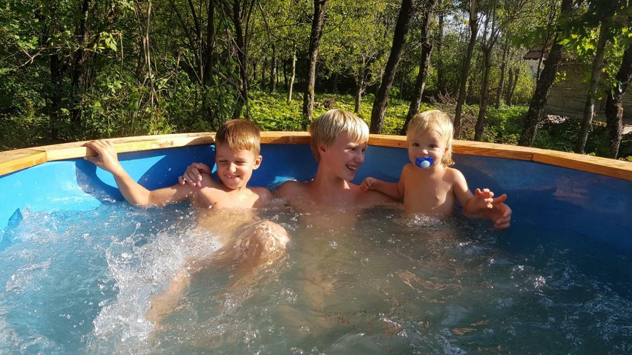 Vodenica Vrelo Chalets Vrelo Koreničko 外观 照片