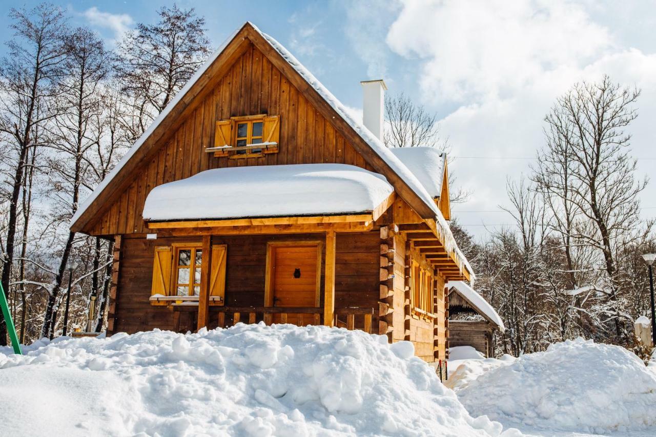 Vodenica Vrelo Chalets Vrelo Koreničko 外观 照片