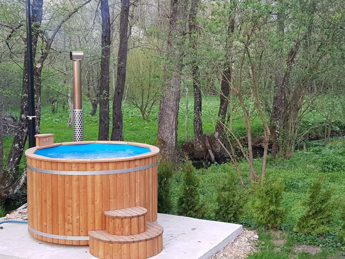 Vodenica Vrelo Chalets Vrelo Koreničko 外观 照片