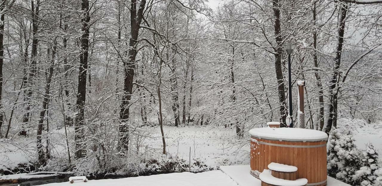 Vodenica Vrelo Chalets Vrelo Koreničko 外观 照片