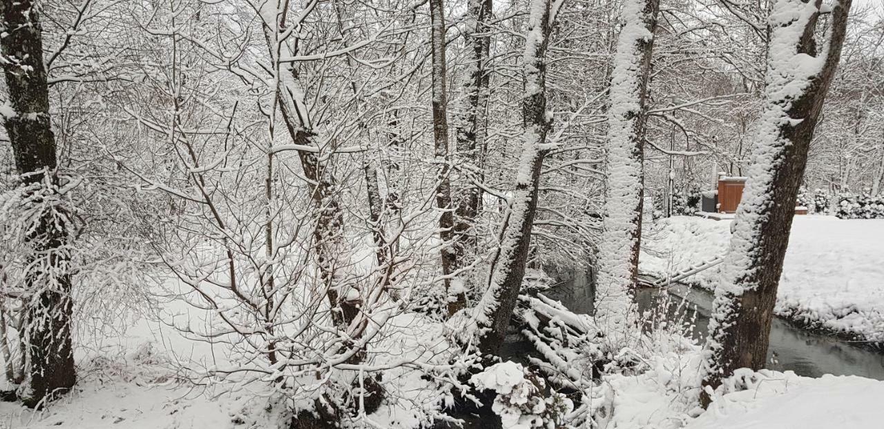 Vodenica Vrelo Chalets Vrelo Koreničko 外观 照片
