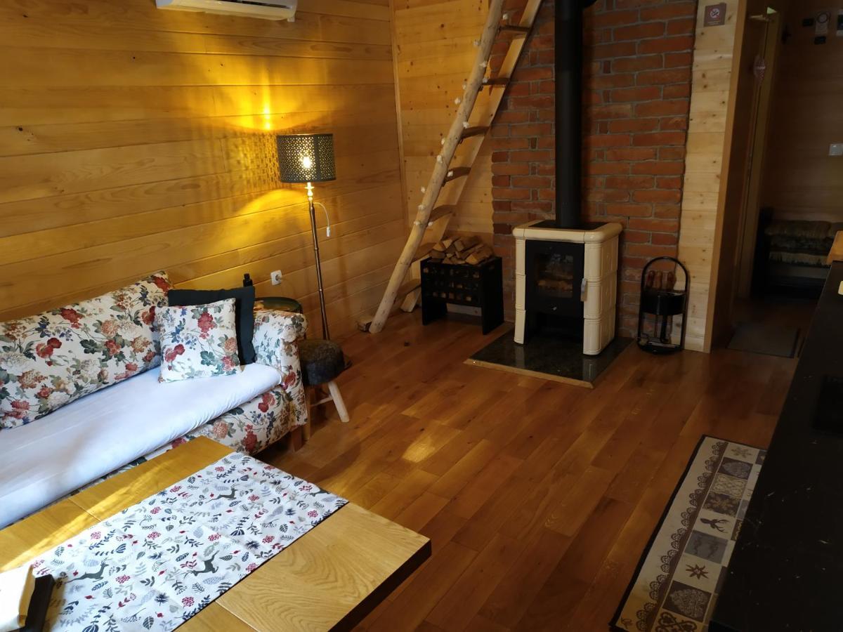 Vodenica Vrelo Chalets Vrelo Koreničko 外观 照片